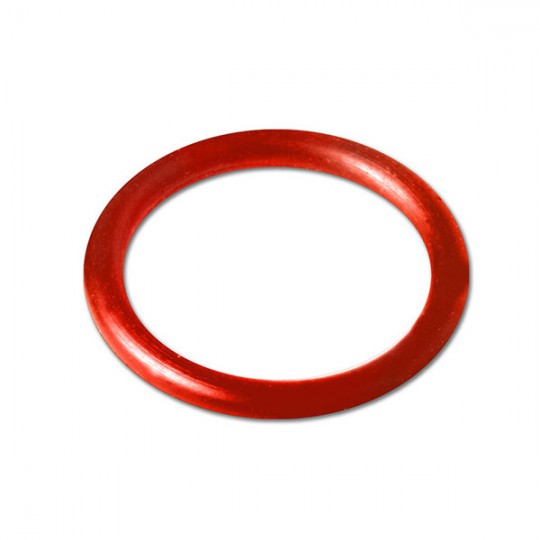 O-RING ROSSI D 22